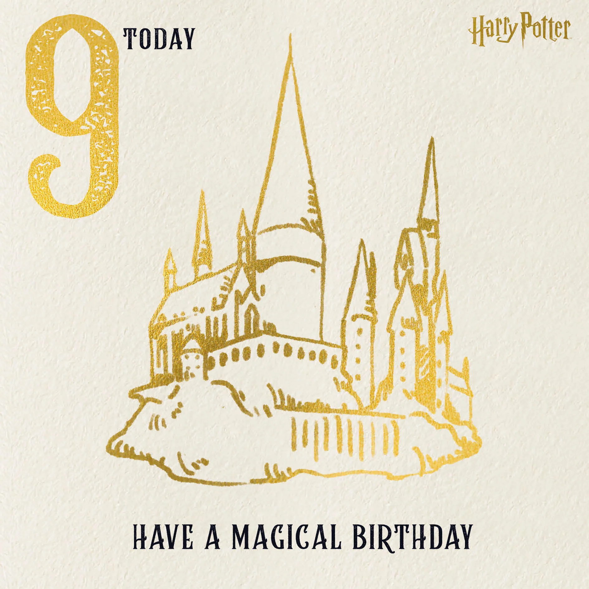 Harry Potter Age 9 Birthday Card - Image 5