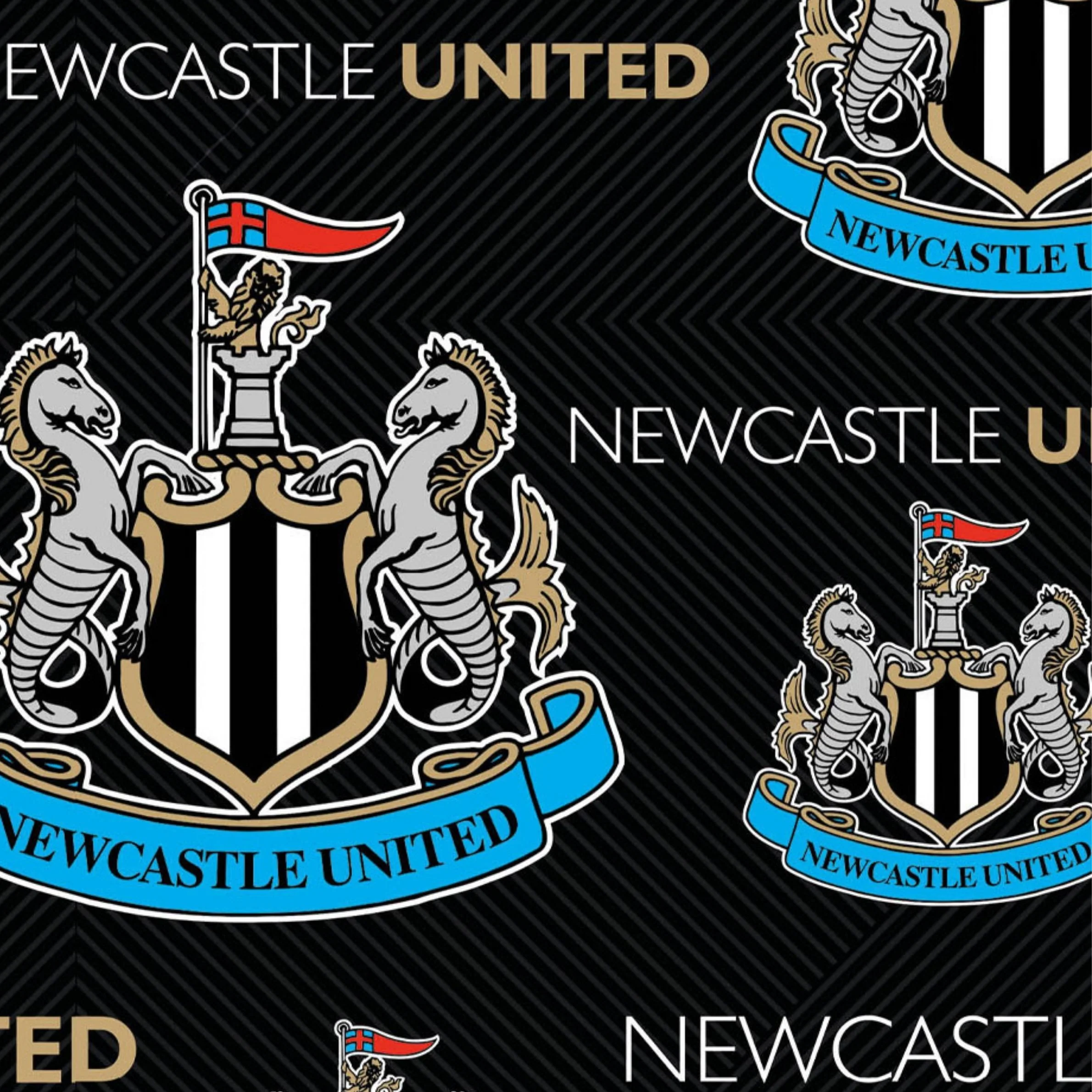 Newcastle United FC 2 Sheets & 2 Tags Gift Wrap - Image 4