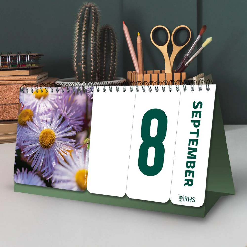 RHS PERPETUAL DESK CALENDAR - Image 4