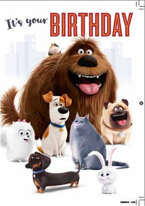 The Secret Life of Pets Birthday Sound Card - Image 3